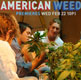 American Weed