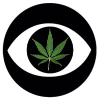 CBS_potleaf