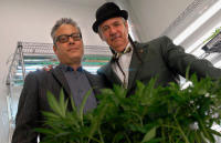 Andrew & Steve DeAngelo