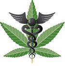 Medical Marijuana