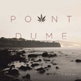 Point Dume