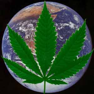 Potleaf