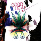 Seun Kuti - The Good Leaf