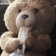 Ted movie