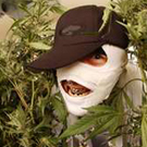 TopCelebStoner_Pakelika.jpg