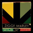 Ziggy Marley - Wild & Free