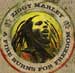 Ziggy Marley