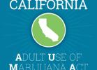 Nine States Vote on Adult-Use Legalization or Medical Marijuana