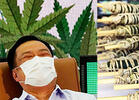 Thailand Legalizes Low-THC Cannabis for Medical Uses, Plant Giveaway Planned