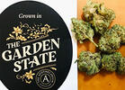 Lining Up for Legal Weed in New Jersey: CelebStoner Goes to Apothecarium Phillipsburg