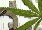 Total U.S. Marijuana Arrests on the Rise Again