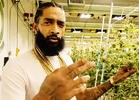Slain Rapper Nipsey Hussle Comes to Life in Weed Documentary