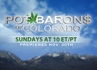 TV Review: 'Pot Barons of Colorado'