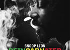 Snoop Lion - 'Reincarnated'