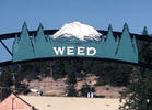 No Chance to Legalize It in California in 2014