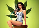 'Weeds' Reboot Moves Back to Showtime