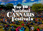 Top 10 Summer Events: From National Cannabis Festival to Farm Aid