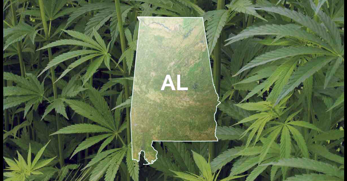 photo of Roll Tide: Medical Marijuana Push Begins Again in Alabama image