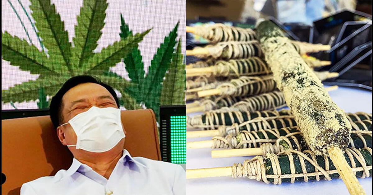 photo of Thailand Legalizes Low-THC Cannabis for Medical Uses, Plant Giveaway Planned image