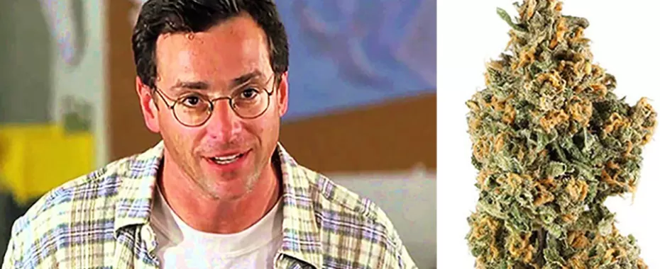 Bob Saget Joked About Having a Weed Strain Named After Him