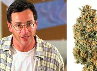 Bob Saget Joked About Having a Weed Strain Named After Him