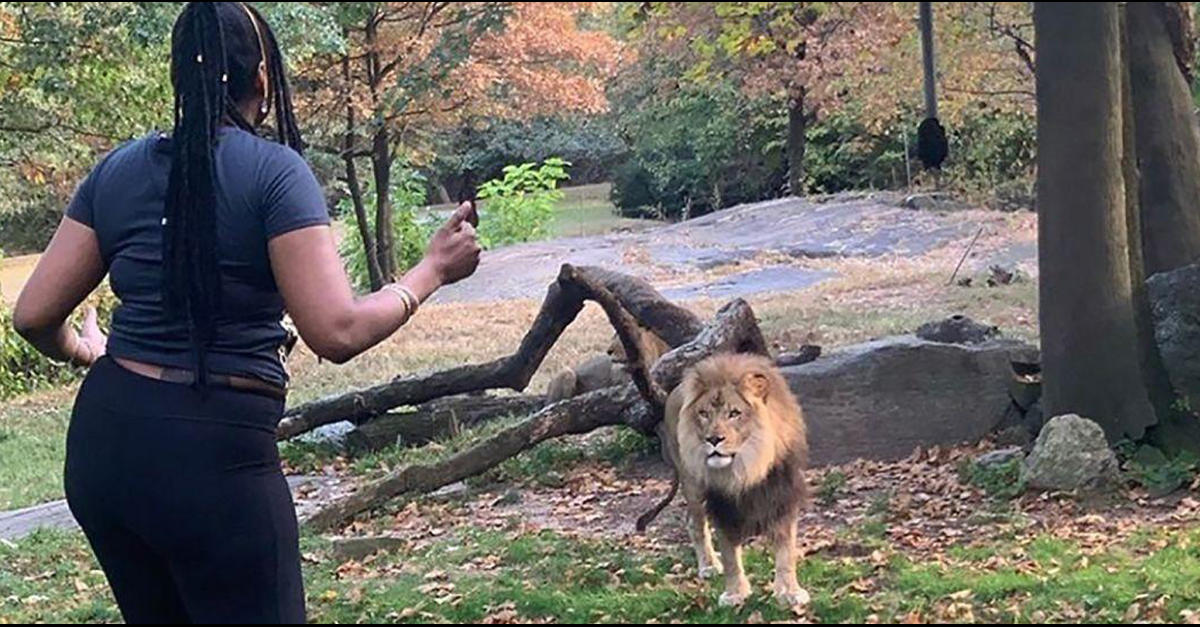 Bronx Zoo Lion Whisperer Was 'Lit' When She Pulled Stunt