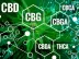 New Study Says Cannabinoids in Hemp Can Block Covid Transmission