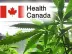 Oh Canada: Marketing Medical Marijuana