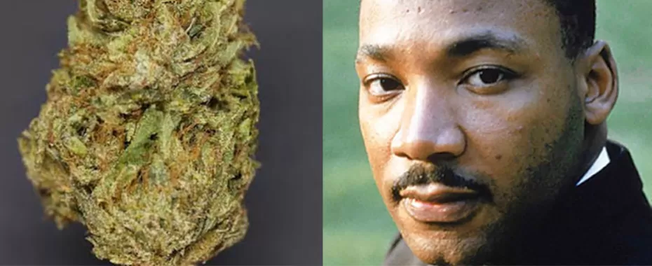 Order King's Kush or Dream Weed Strains on MLK Jr. Day