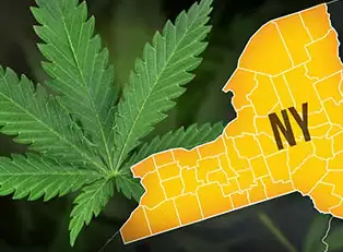 New York State Ushers in New Era of Equity Cannabis Retail Licensing