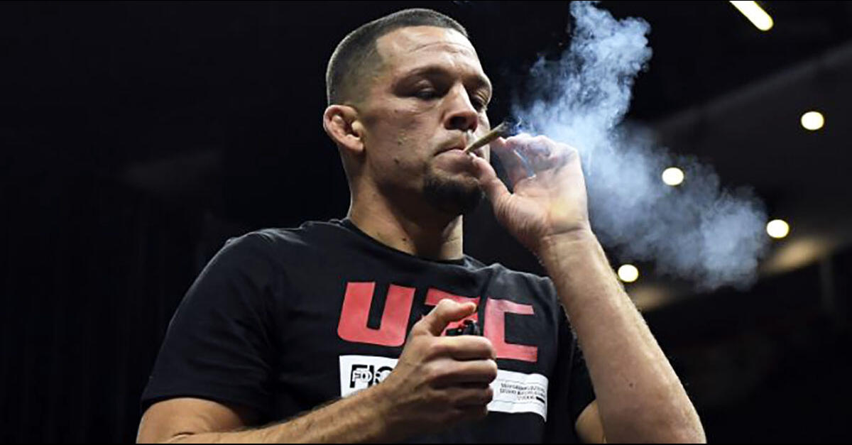 photo of Mixing It Up: Florida Commission Joins UFC, Ends Ban on Cannabis image