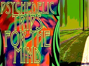 Flashback to How I Changed My Mind: A First-Time LSD Story
