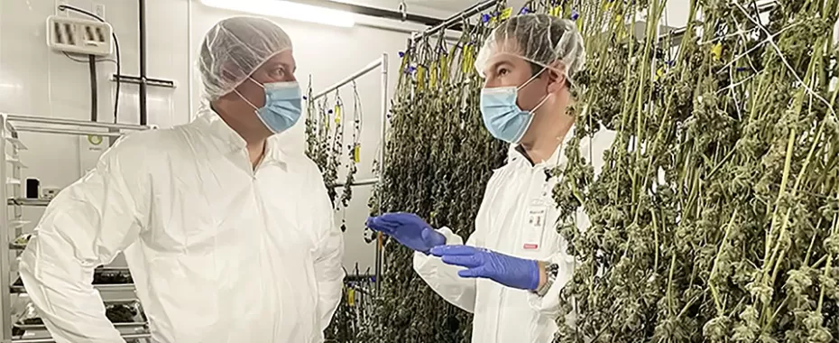 U.S. Senate Candidate Tim Ryan Visits Marijuana Cultivation Facility in Ohio