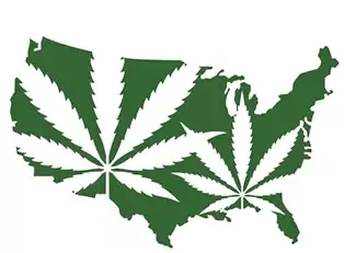 Legalization Initiatives on the 2022 Ballot in Five States