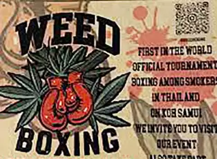 Weed Boxing, Anyone? Mike Tyson Promotes Event in Thailand