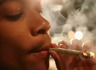 Wiz Khalifa Sentenced for Lighting Up on Stage at Romanian Festival