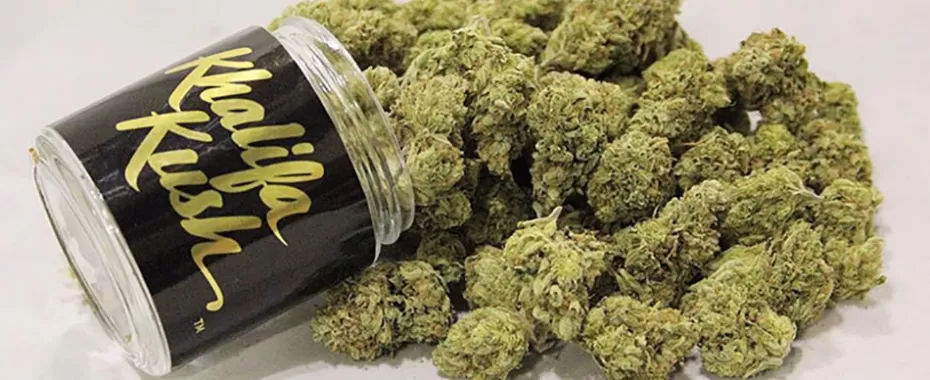 Khalifa Kush Tops Celebrity Cannabis Brands Sales List for Second Year in a Row