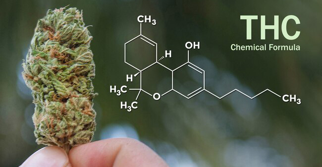 Key Things to Know About Marijuana Edibles Key Things to Know About Marijuana Edibles